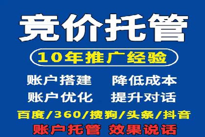 百度推广费用策略在竞争激烈市场的应用案例